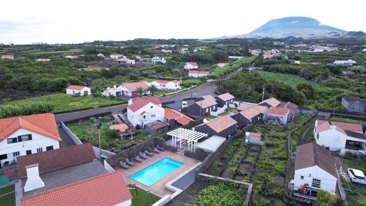 Villa As Casas Da Vinha Criacao Velha Exterior foto