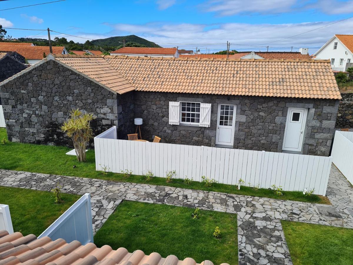 Villa As Casas Da Vinha Criacao Velha Exterior foto